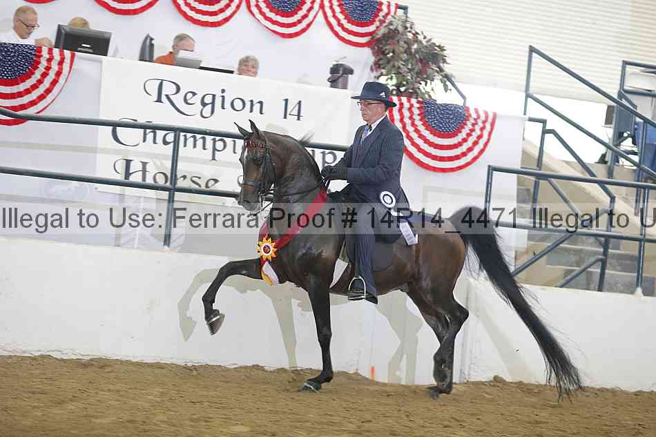 Proof 14r14_4471
