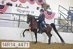 14r14_4471 proof