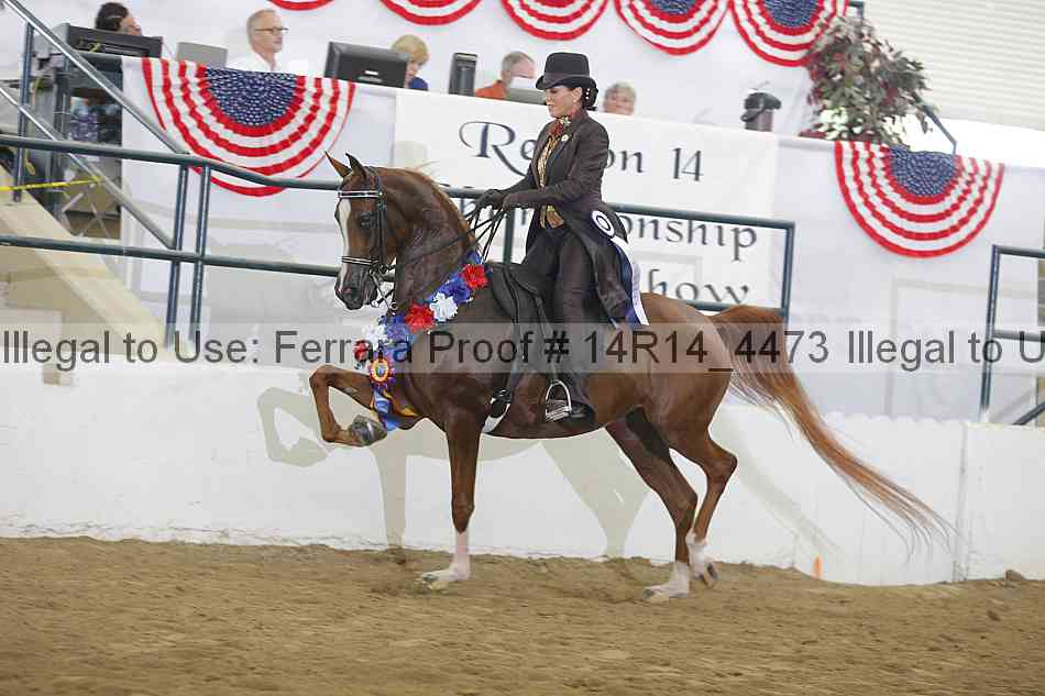 Proof 14r14_4473