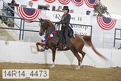14r14_4473 proof