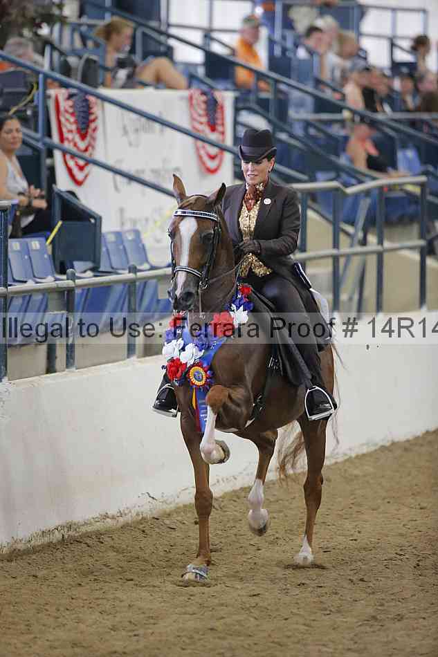 Proof 14r14_4476