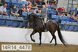 14r14_4478 proof
