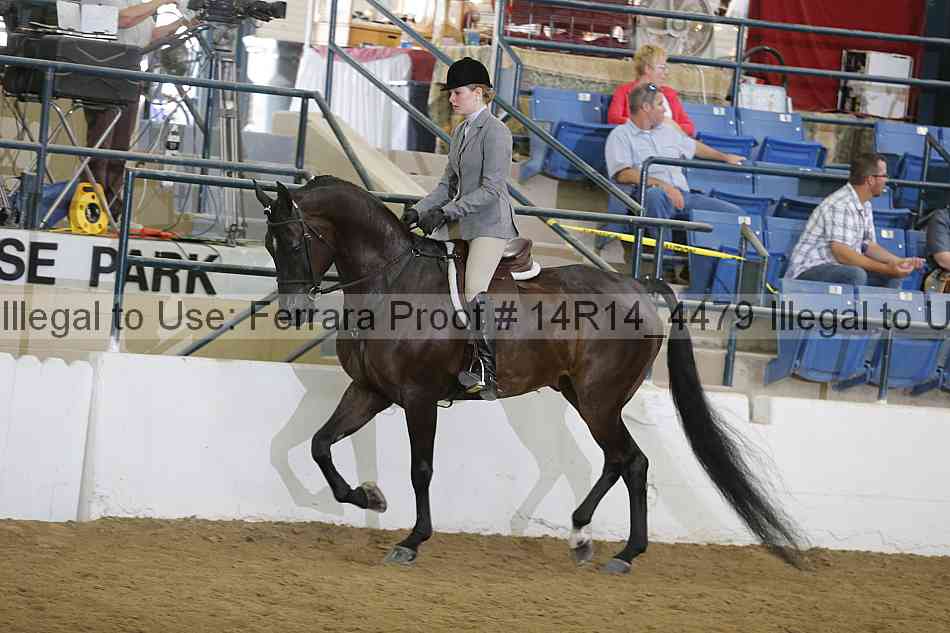 Proof 14r14_4479