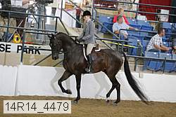 14r14_4479 proof