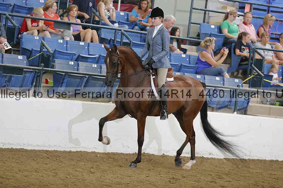Proof 14r14_4480
