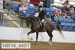 14r14_4481 proof