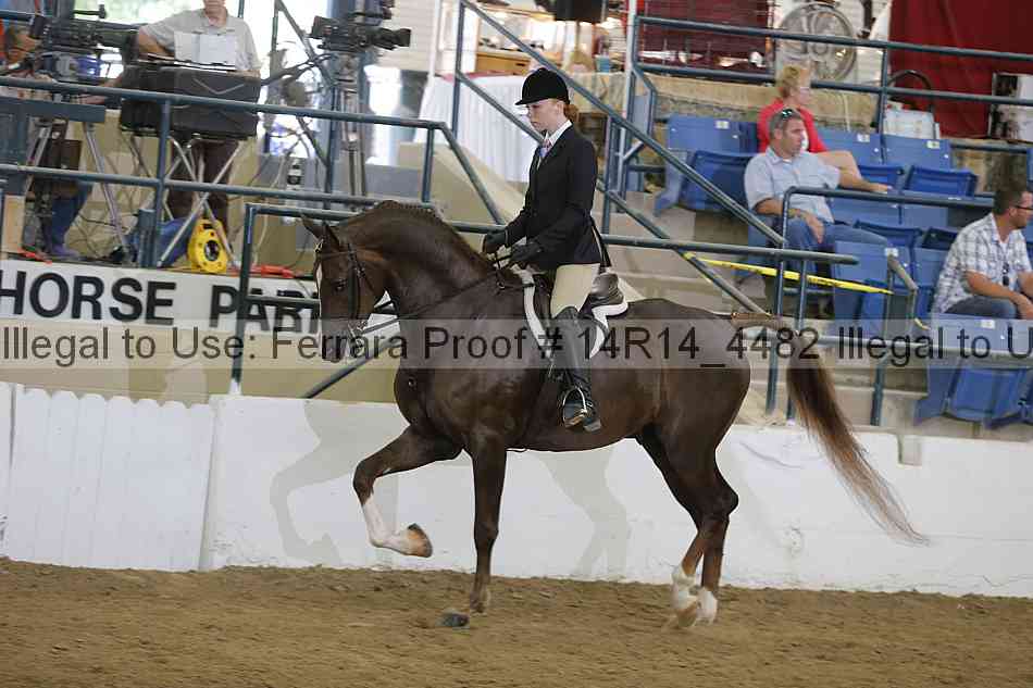 Proof 14r14_4482