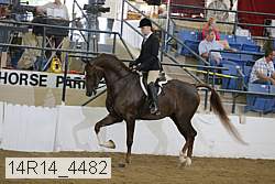 14r14_4482 proof