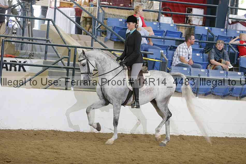 Proof 14r14_4483