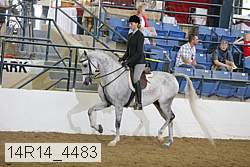 14r14_4483 proof