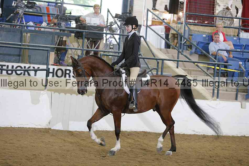 Proof 14r14_4485