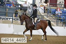 14r14_4485 proof