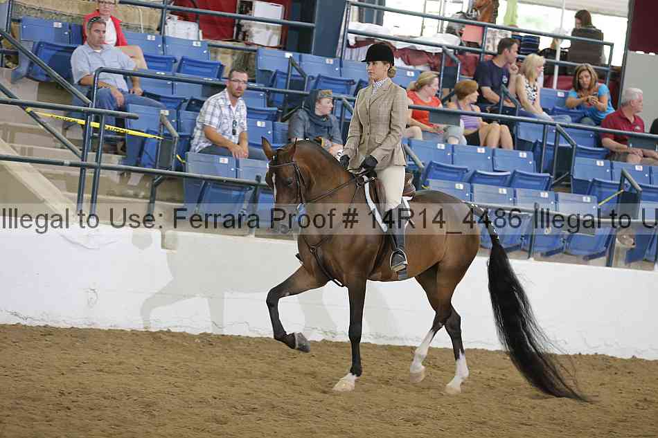 Proof 14r14_4486