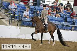 14r14_4486 proof