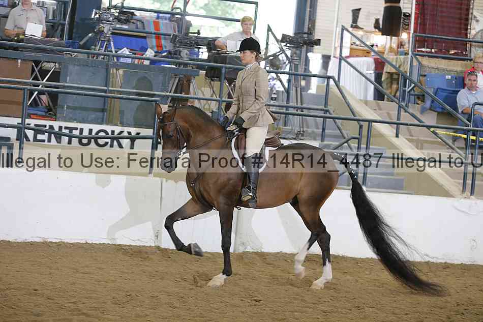 Proof 14r14_4487