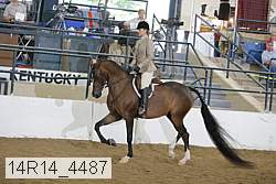 14r14_4487 proof