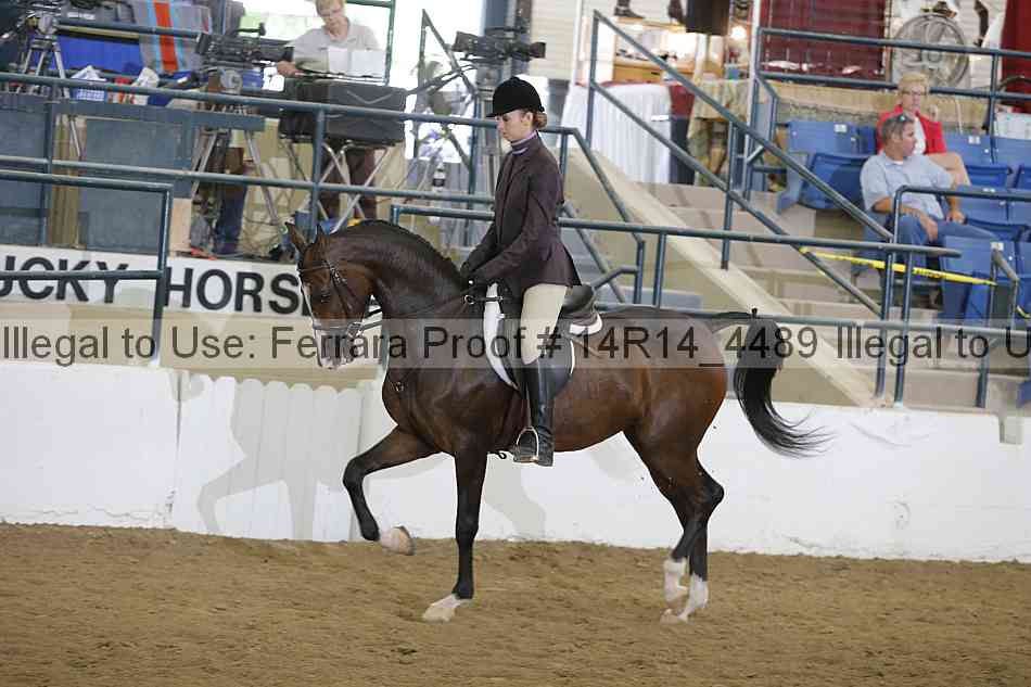 Proof 14r14_4489