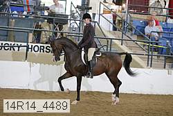 14r14_4489 proof