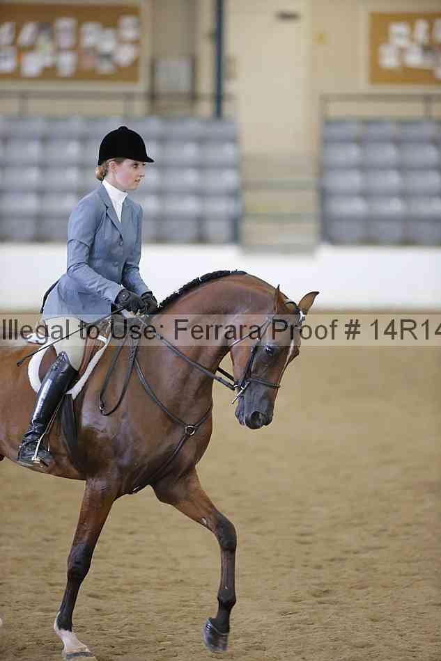 Proof 14r14_4491