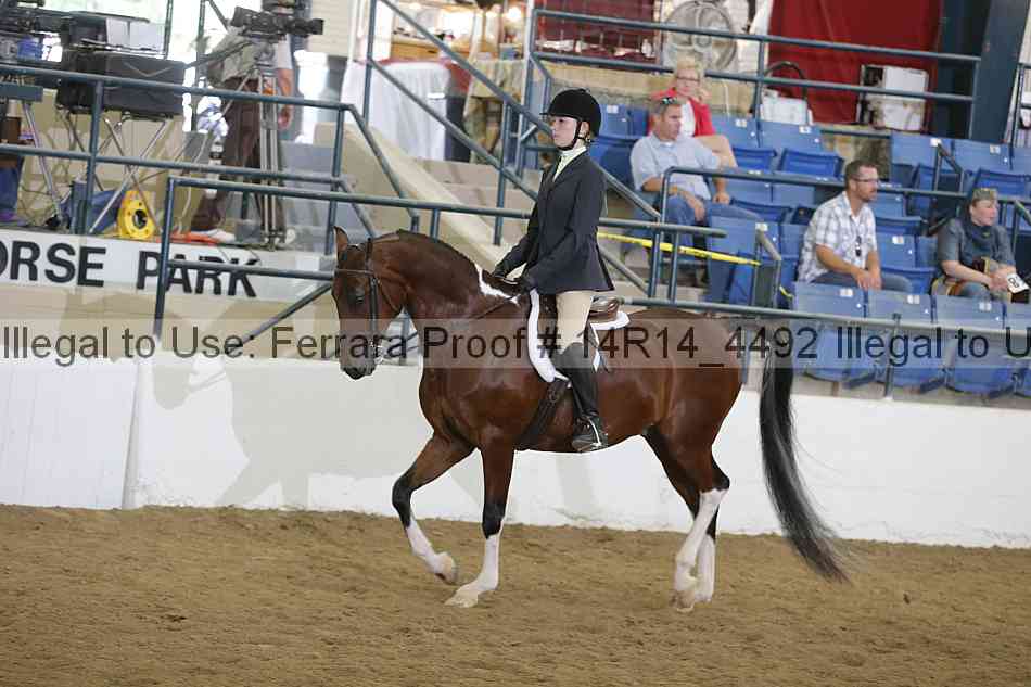 Proof 14r14_4492