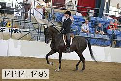 14r14_4493 proof