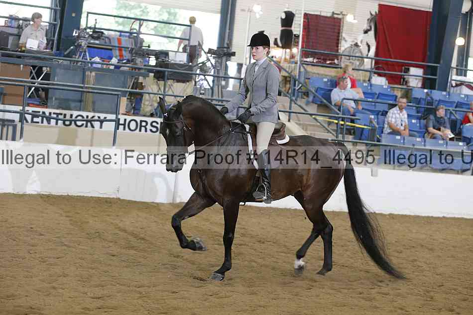 Proof 14r14_4495
