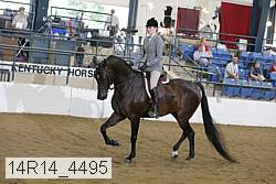 14r14_4495 proof