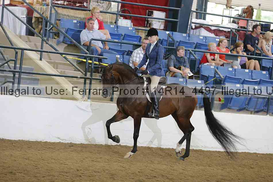 Proof 14r14_4497