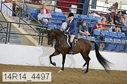 14r14_4497 proof