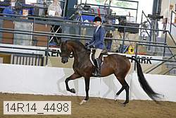 14r14_4498 proof