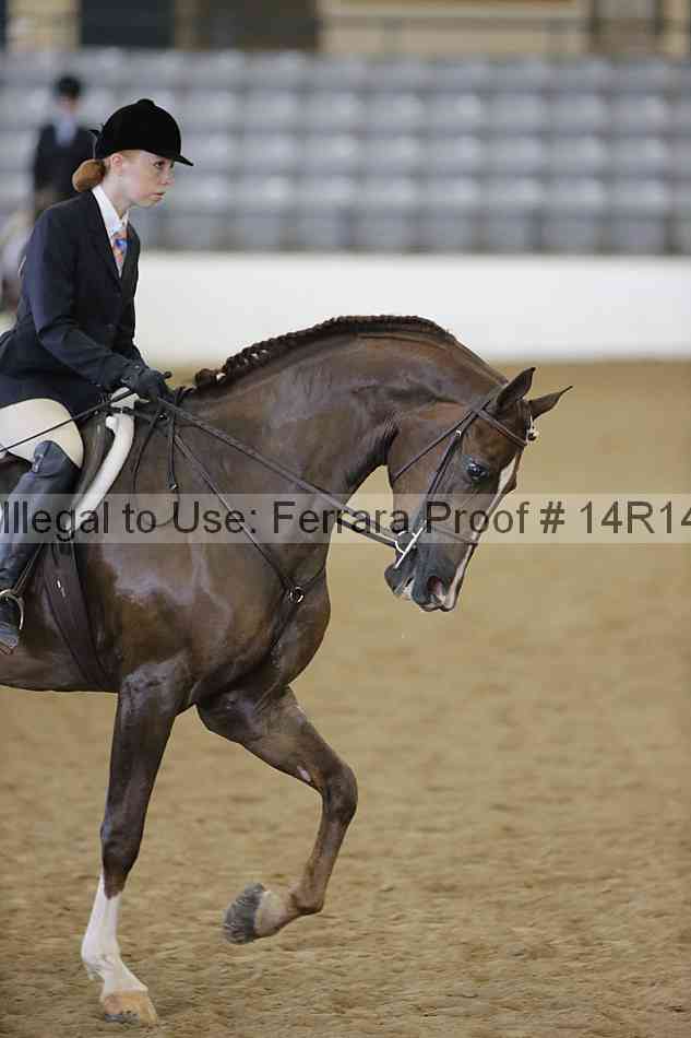 Proof 14r14_4499