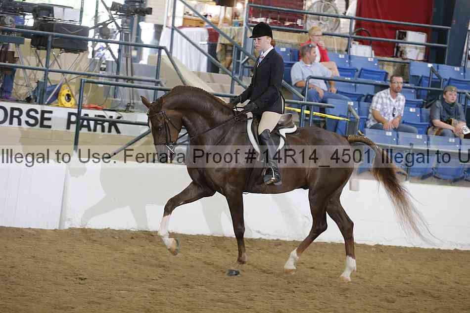 Proof 14r14_4501