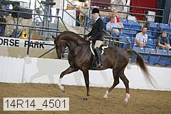 14r14_4501 proof