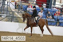 14r14_4503 proof
