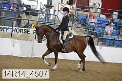 14r14_4507 proof