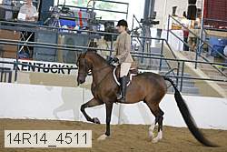 14r14_4511 proof