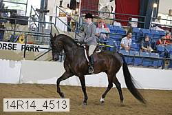 14r14_4513 proof