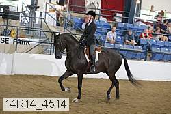14r14_4514 proof