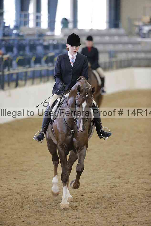 Proof 14r14_4516
