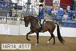 14r14_4517 proof