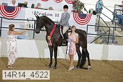 14r14_4522 proof