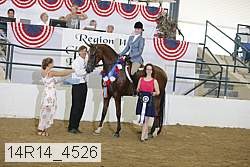 14r14_4526 proof