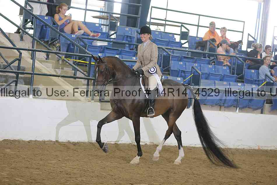 Proof 14r14_4529