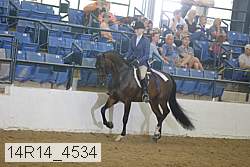 14r14_4534 proof