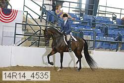 14r14_4535 proof