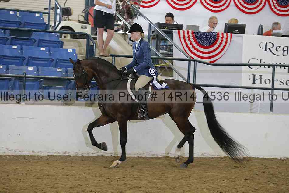 Proof 14r14_4536