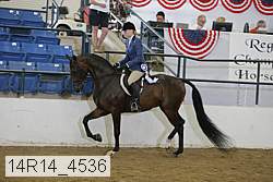 14r14_4536 proof