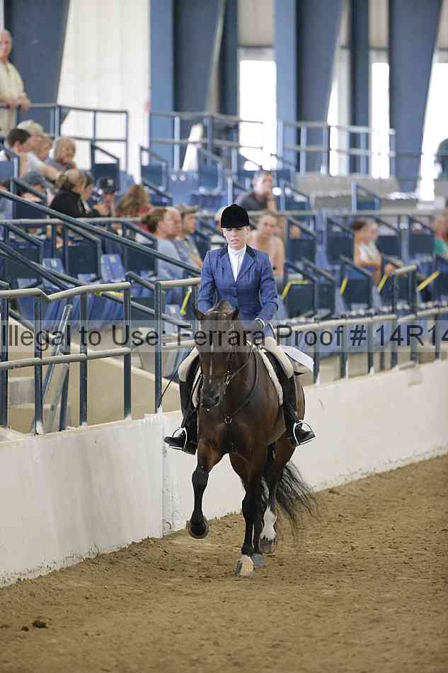 Proof 14r14_4537