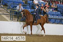 14r14_4576 proof