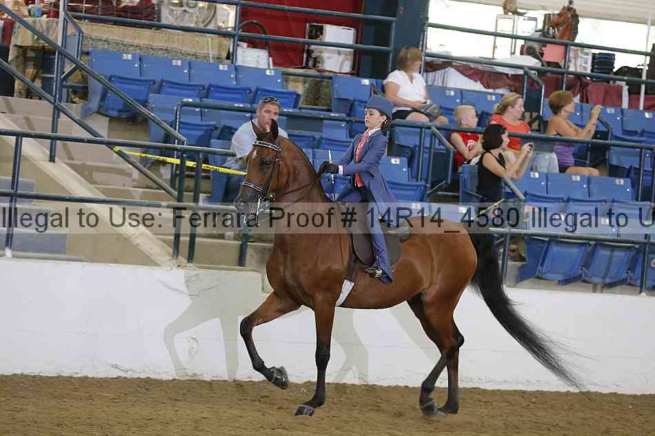 Proof 14r14_4580